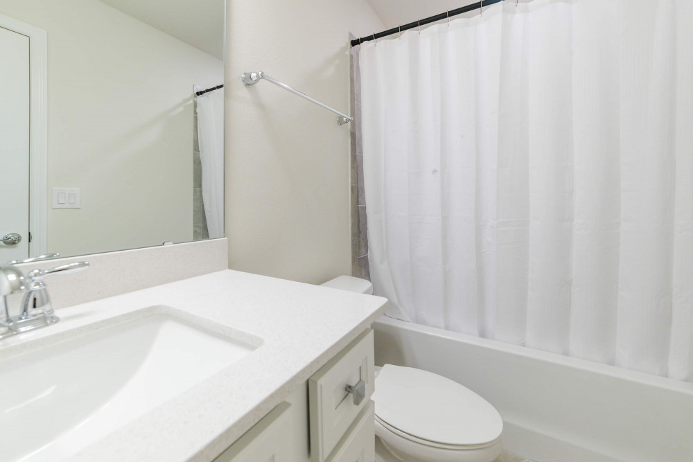 Windsor Cay 206