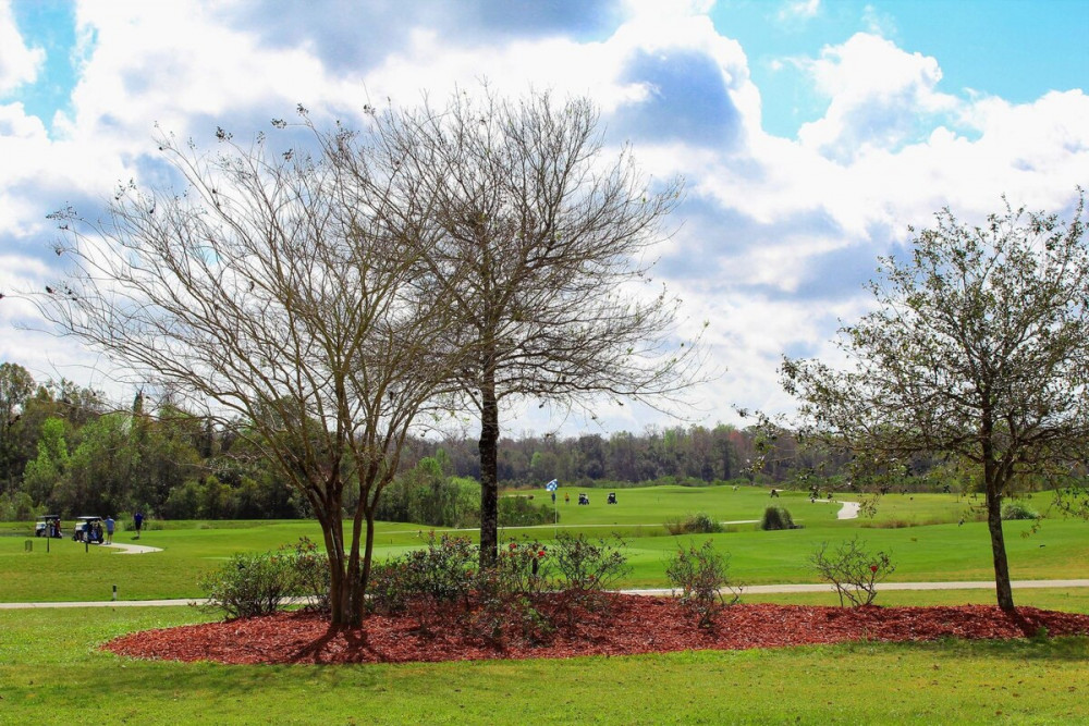 Providence Resort 37