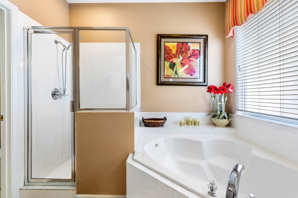 Emerald Island Resort 78