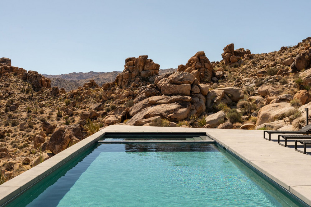 Joshua Tree 78