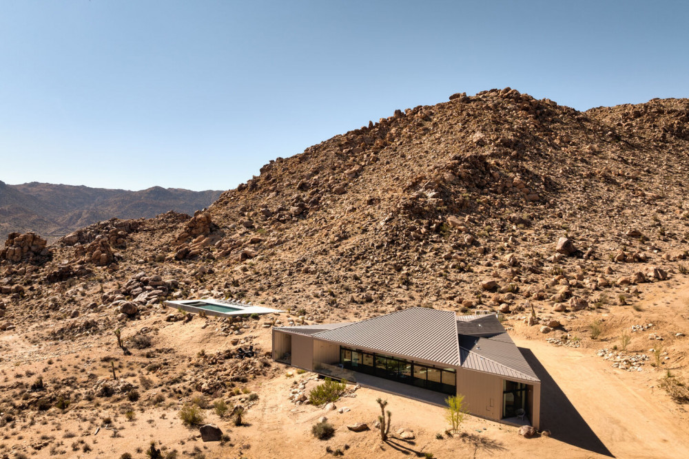 Joshua Tree 78