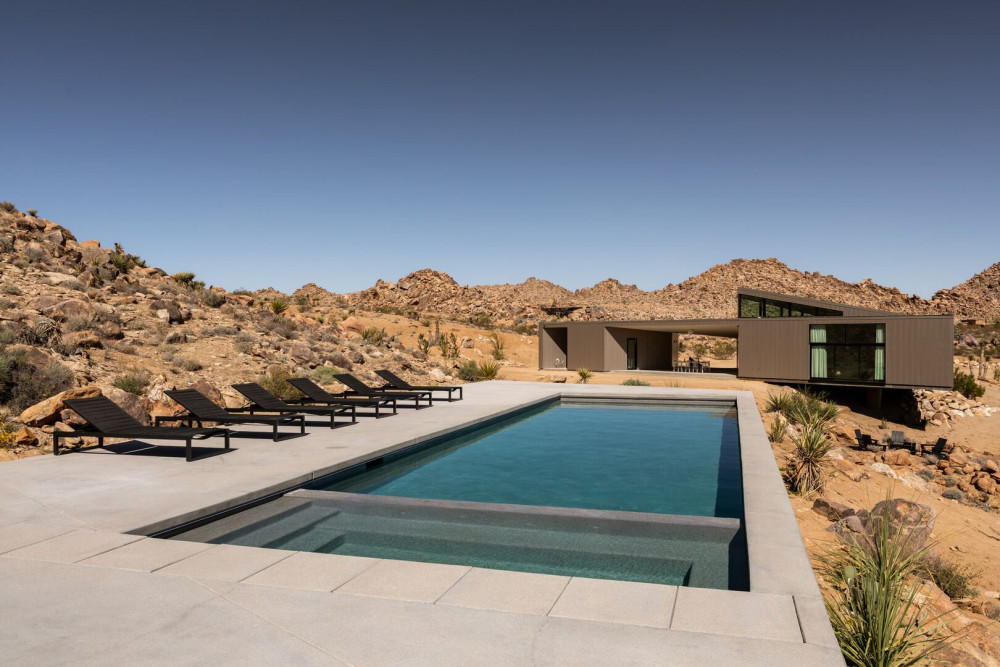 Joshua Tree 78