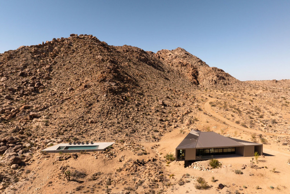 Joshua Tree 78