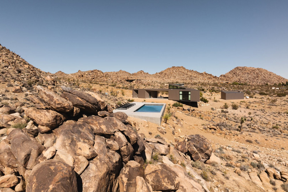 Joshua Tree 78