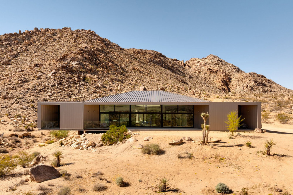Joshua Tree 78