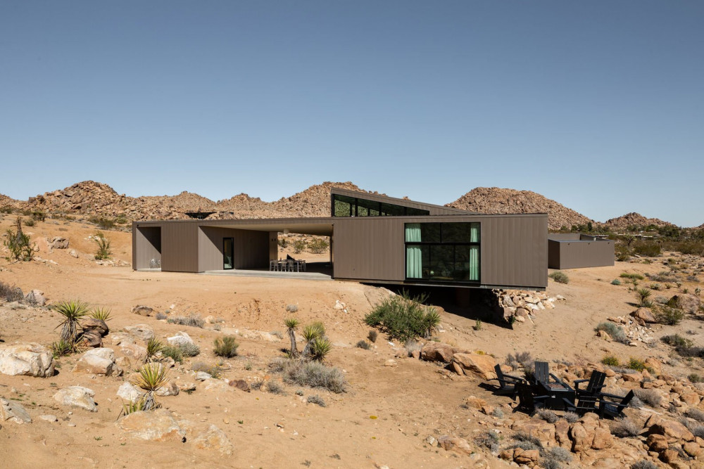 Joshua Tree 78
