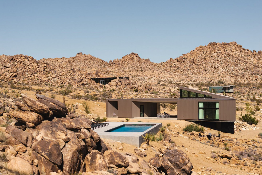 Joshua Tree 78