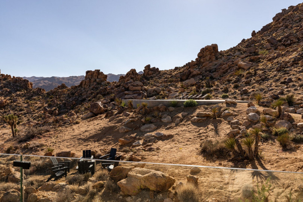 Joshua Tree 78