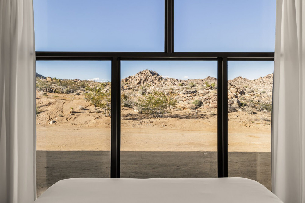 Joshua Tree 78