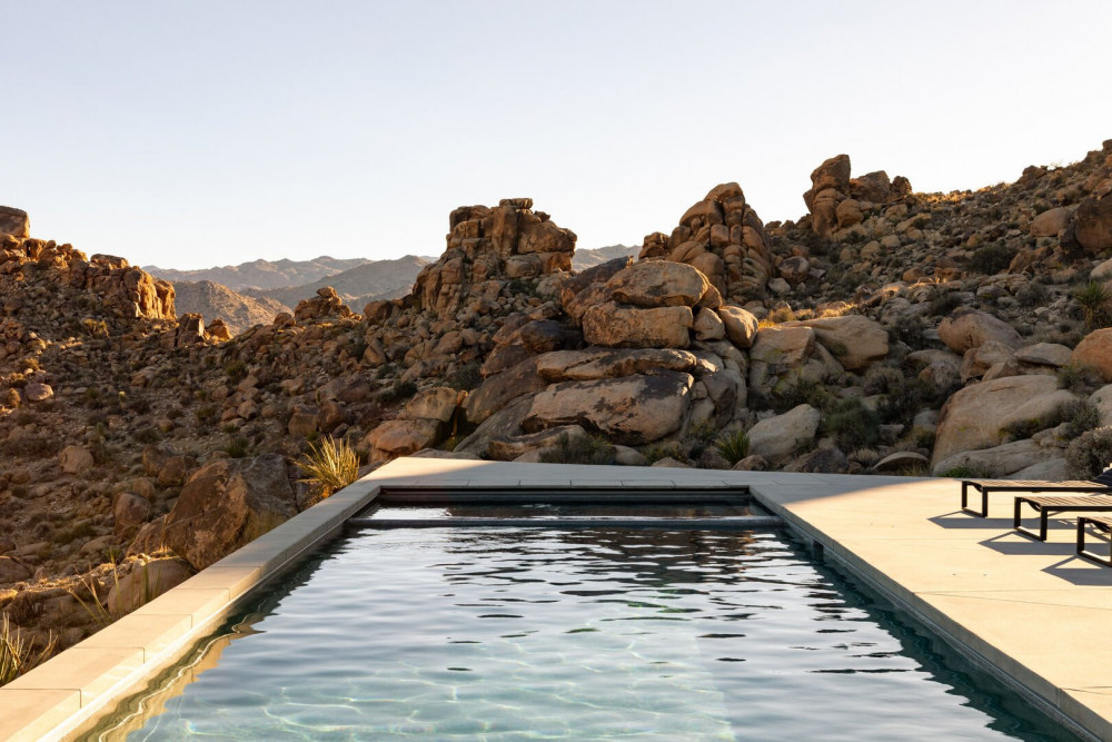 Joshua Tree 78
