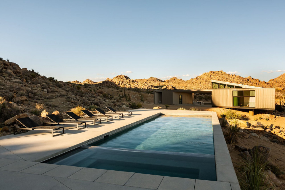 Joshua Tree 78