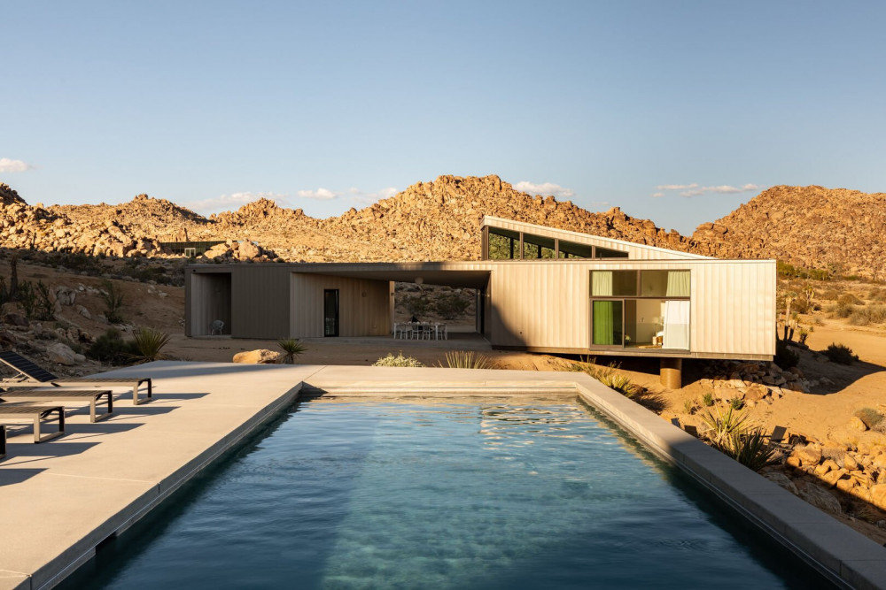 Joshua Tree 78