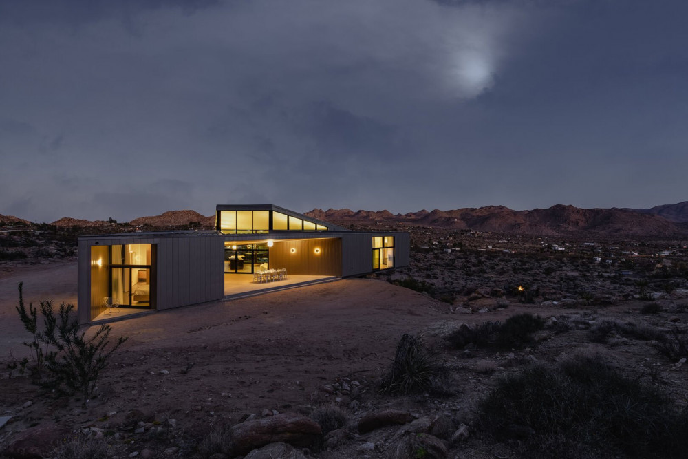 Joshua Tree 78