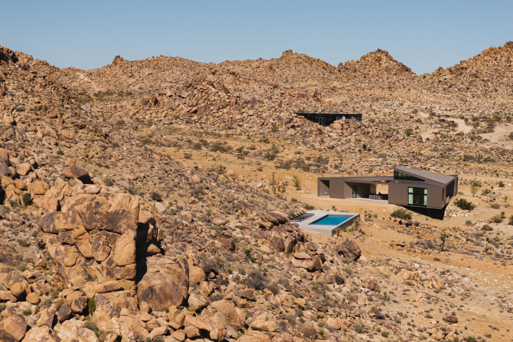 Joshua Tree 78