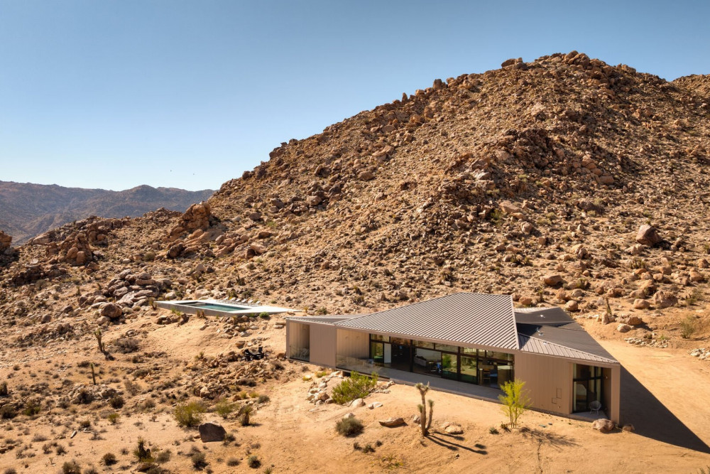 Joshua Tree 78