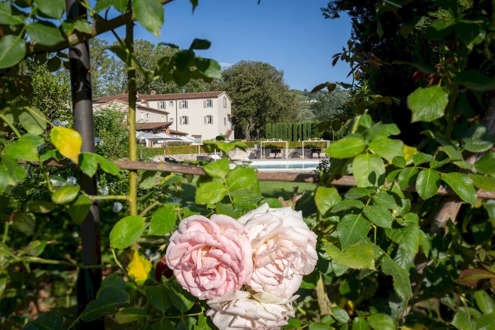 Villa Ginevra 26