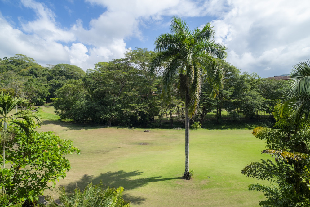 Los Suenos Resort 83