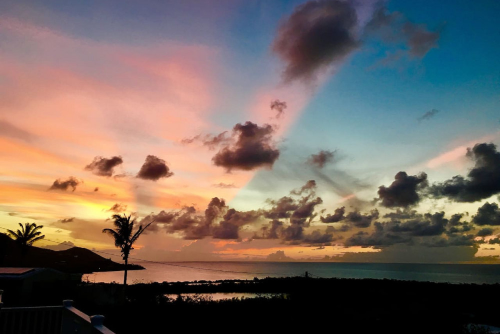 Hook ’em on Paradise