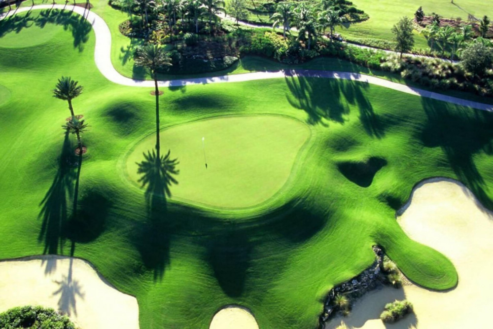 Championsgate 947