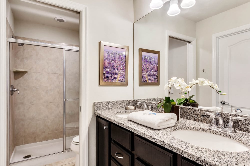 Windsor at Westside 43