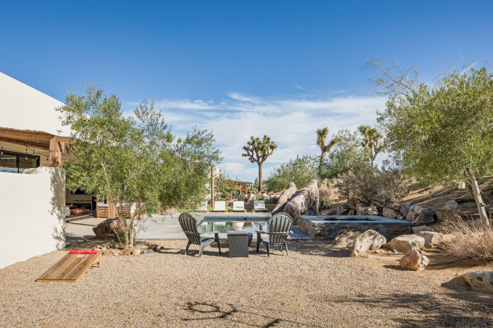 Joshua Tree 79