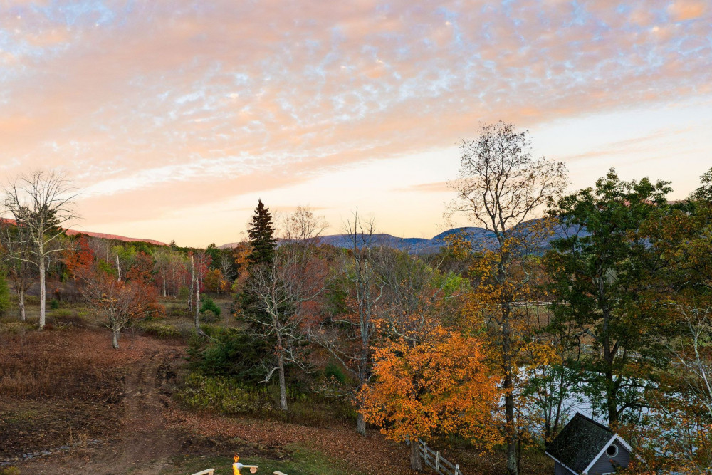 Catskill 5