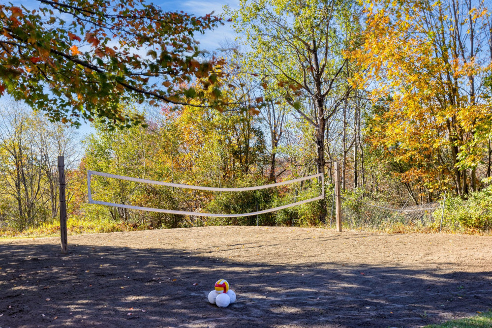 Catskill 6