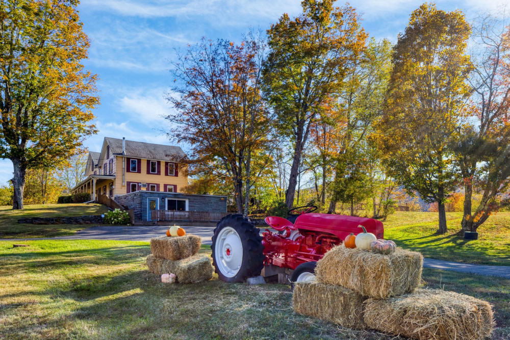 Catskill 6