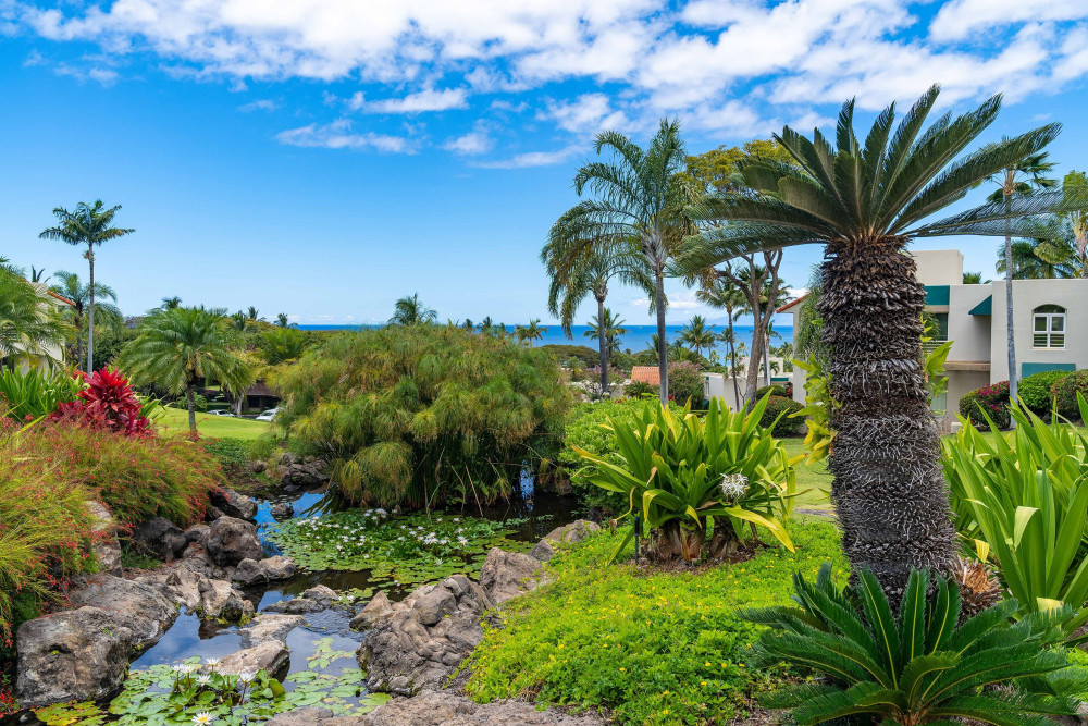 Maui 147