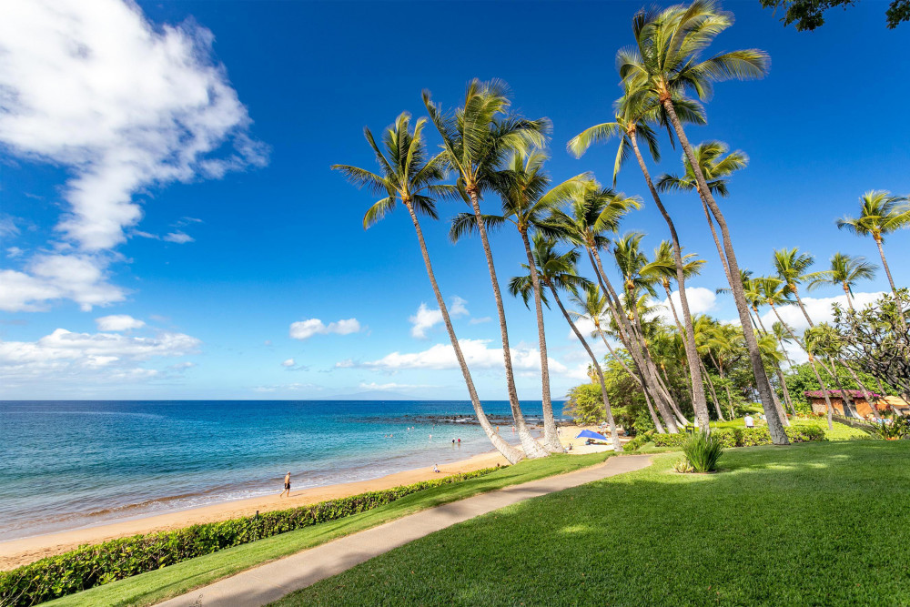 Maui 147