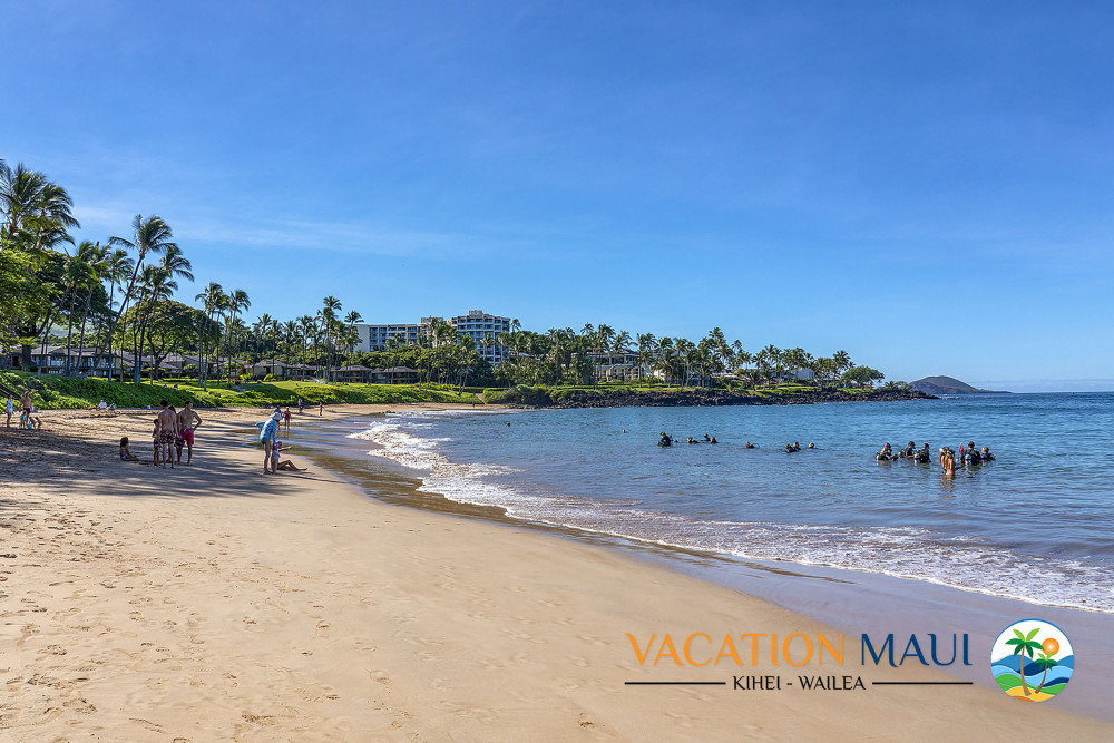 Maui 147