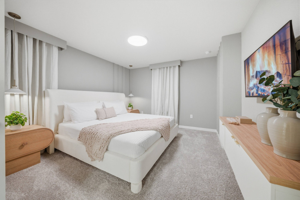Windsor Cay 244
