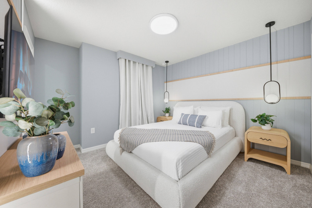 Windsor Cay 244