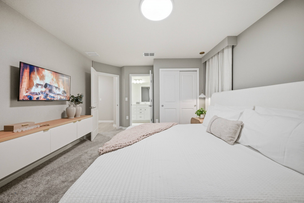 Windsor Cay 244