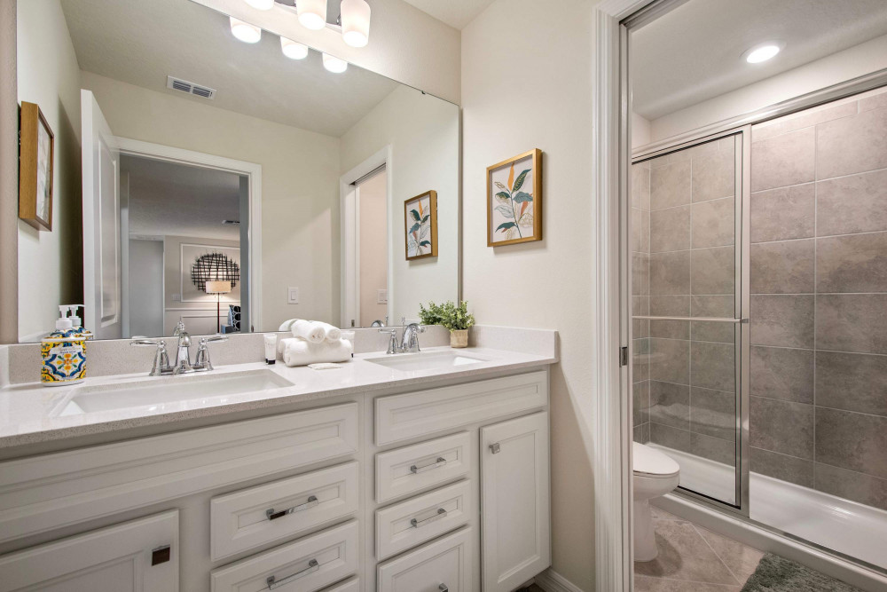 Windsor Cay 260