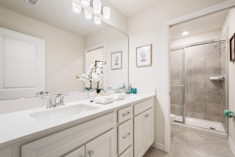 Windsor Cay 259