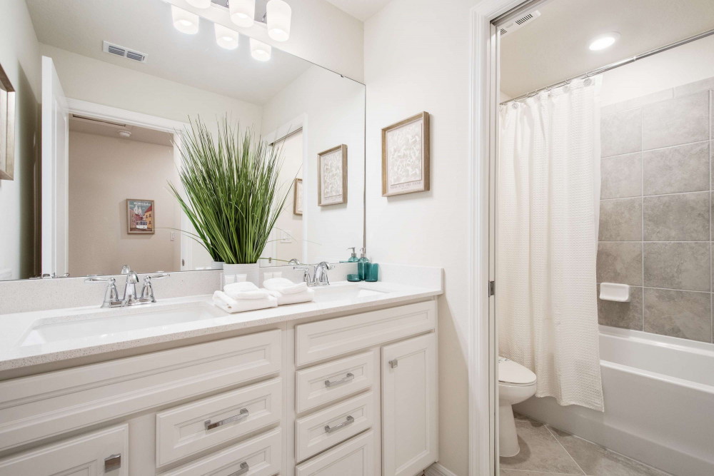 Windsor Cay 259