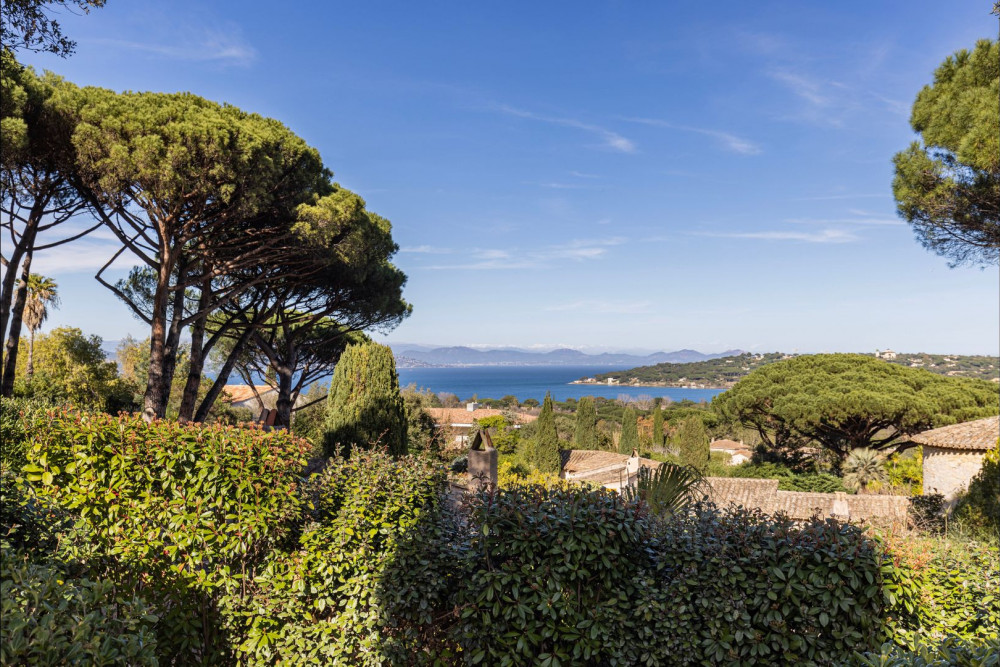 Saint Tropez 11