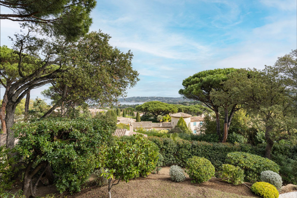 Saint Tropez 11
