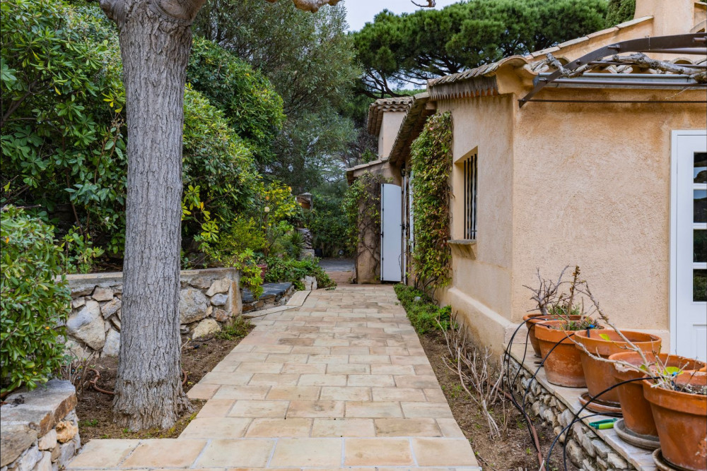 Saint Tropez 11