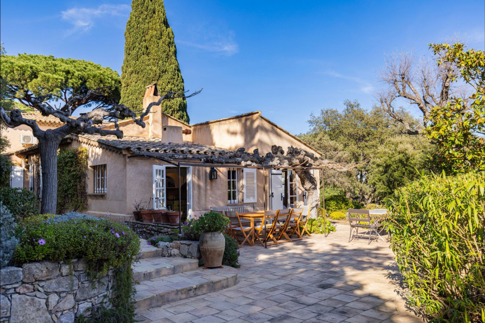 Saint Tropez 11