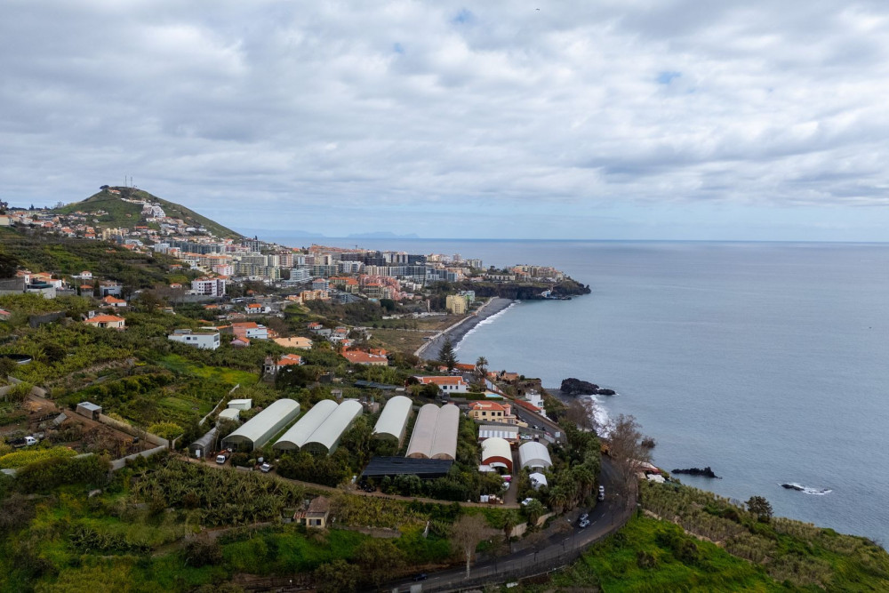 Funchal 7