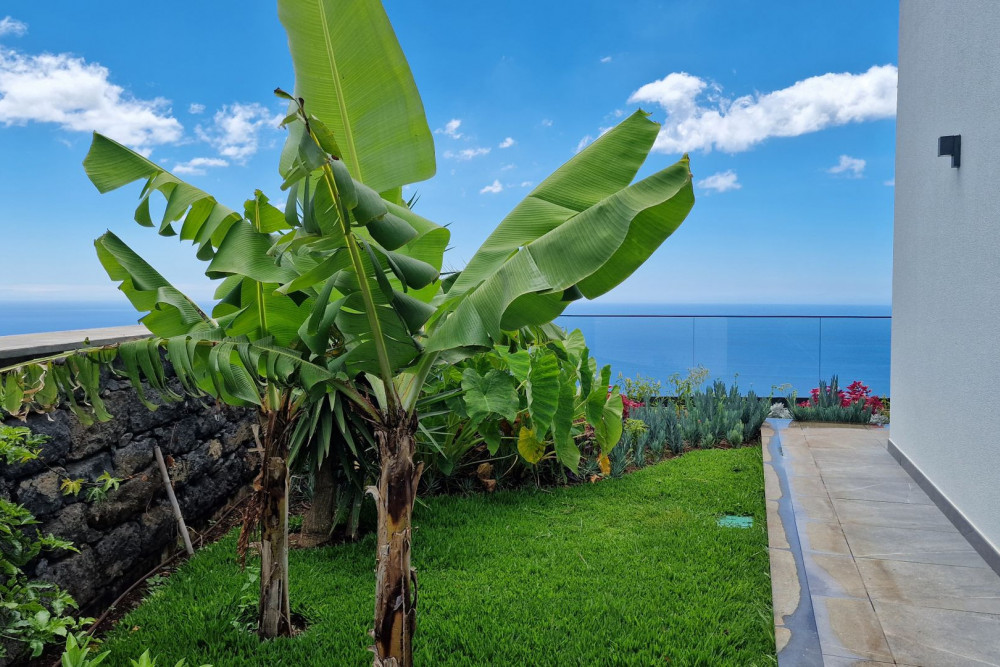 Ribeira Brava 4