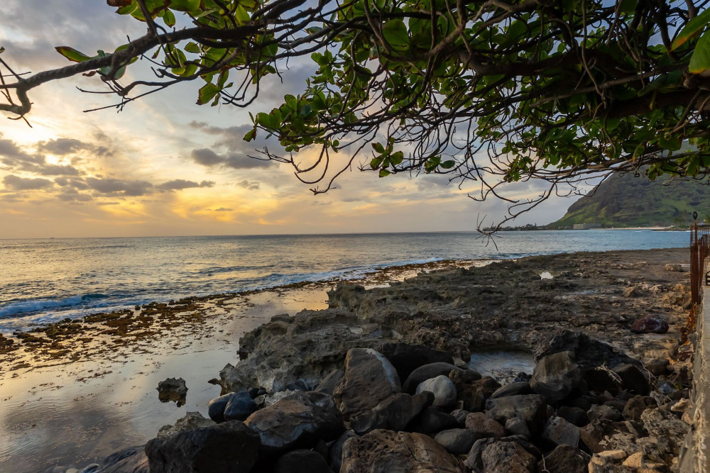 Waianae 15