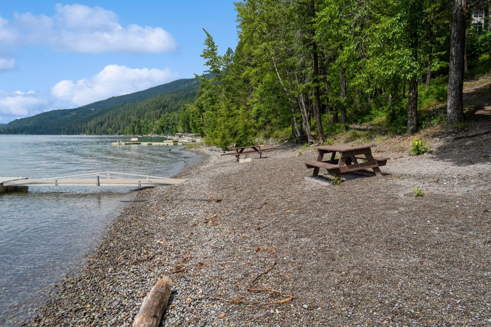 Whitefish 86
