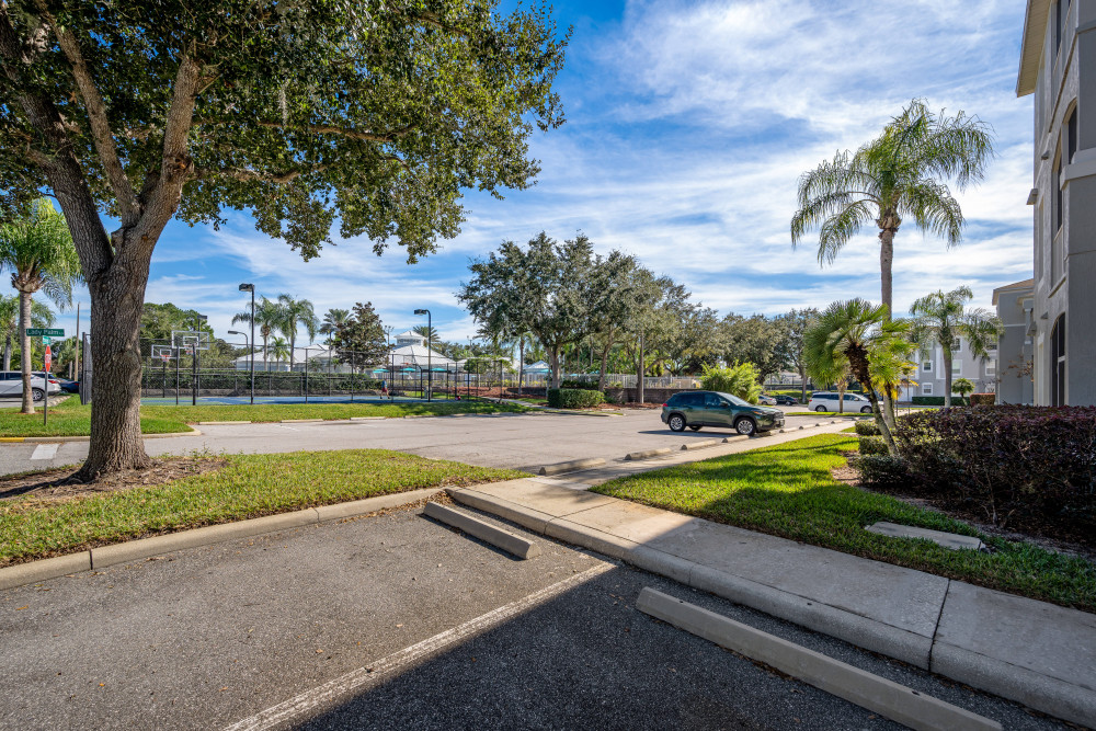 Windsor Palms 96