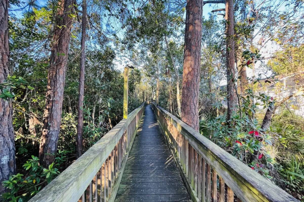 Paradise Palms Resort 134