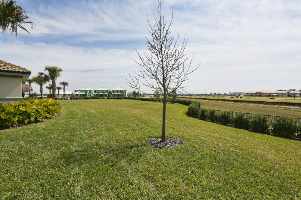 Championsgate 985
