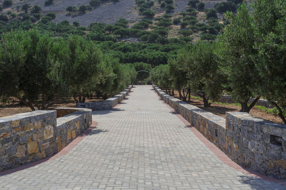 Agios Nikolaos 9