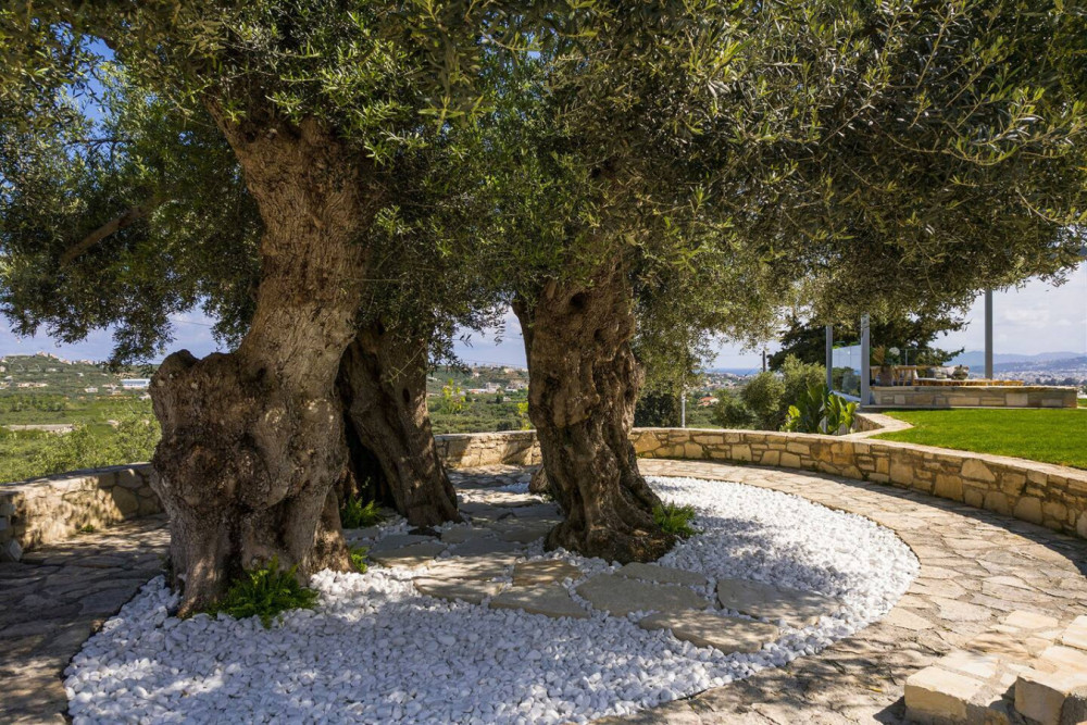 Chania 7